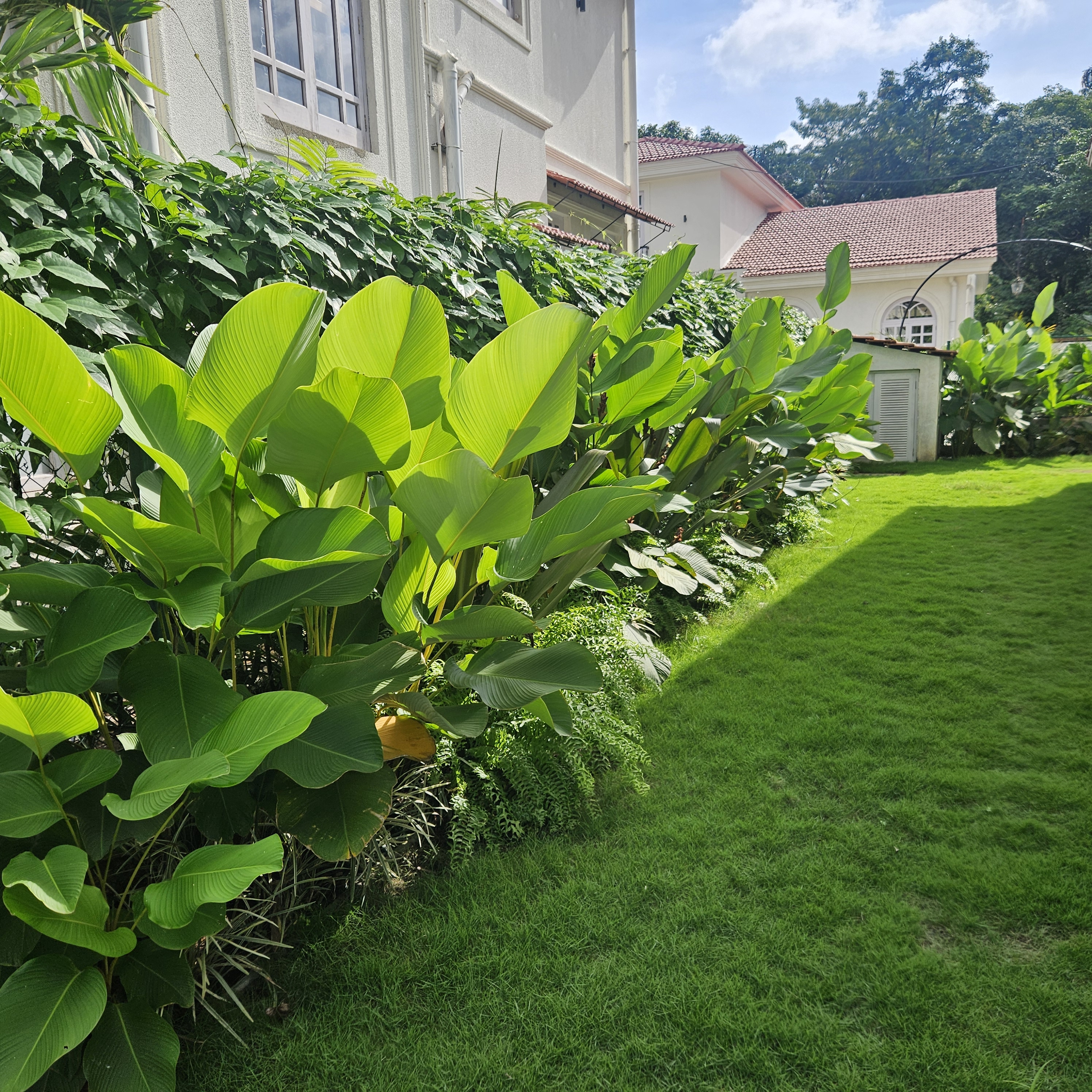 Tropical landscape design at Siolim Isprava villa with curated garden elements